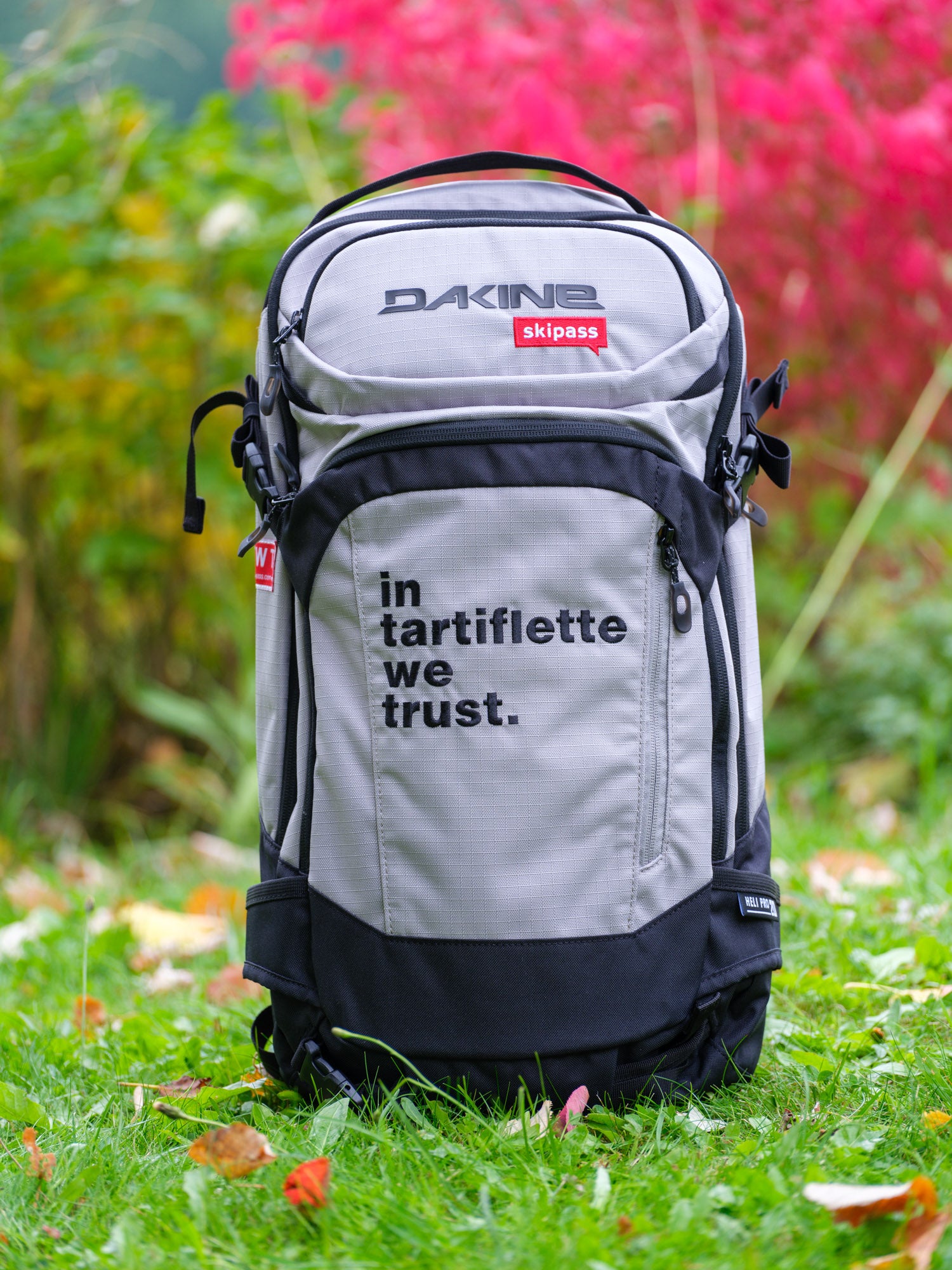 Sac à dos Dakine In Tartiflette We Trust Gris Nuage