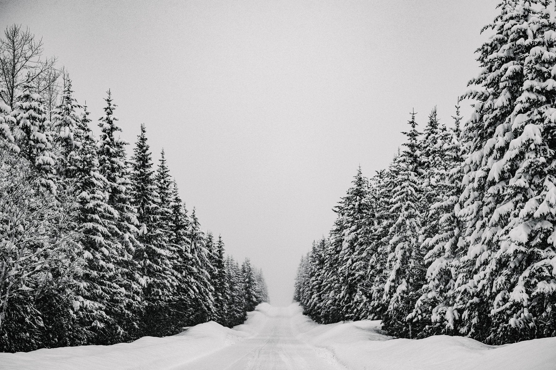 Powder Highway- Canada